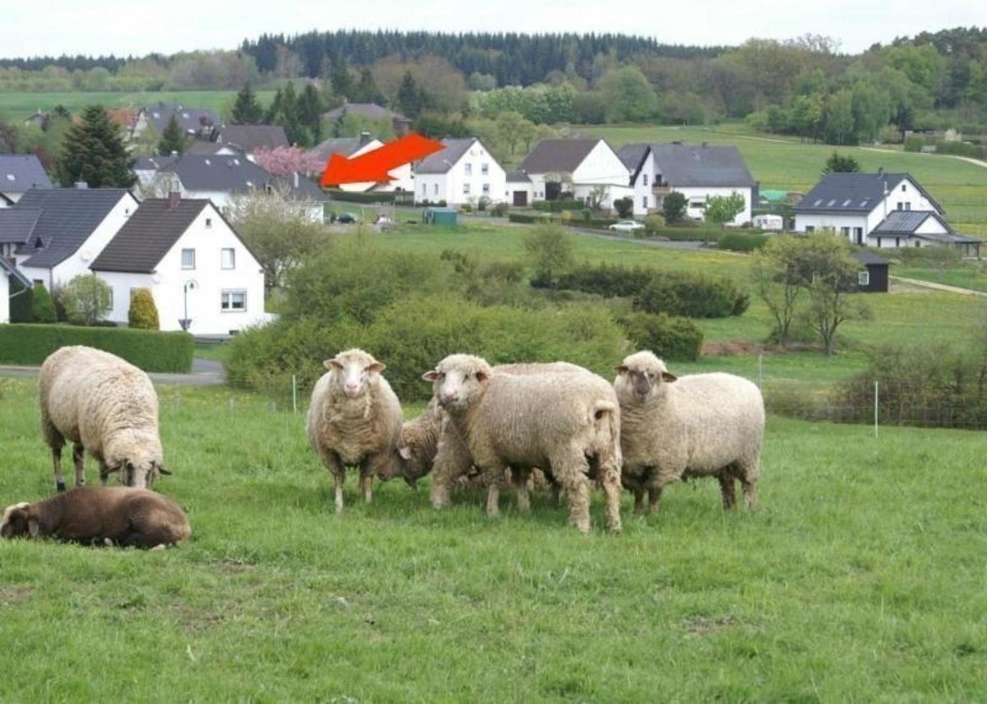 Gemuetliche Maisonette Wohnung Seelenblick Berndorf  Exteriér fotografie